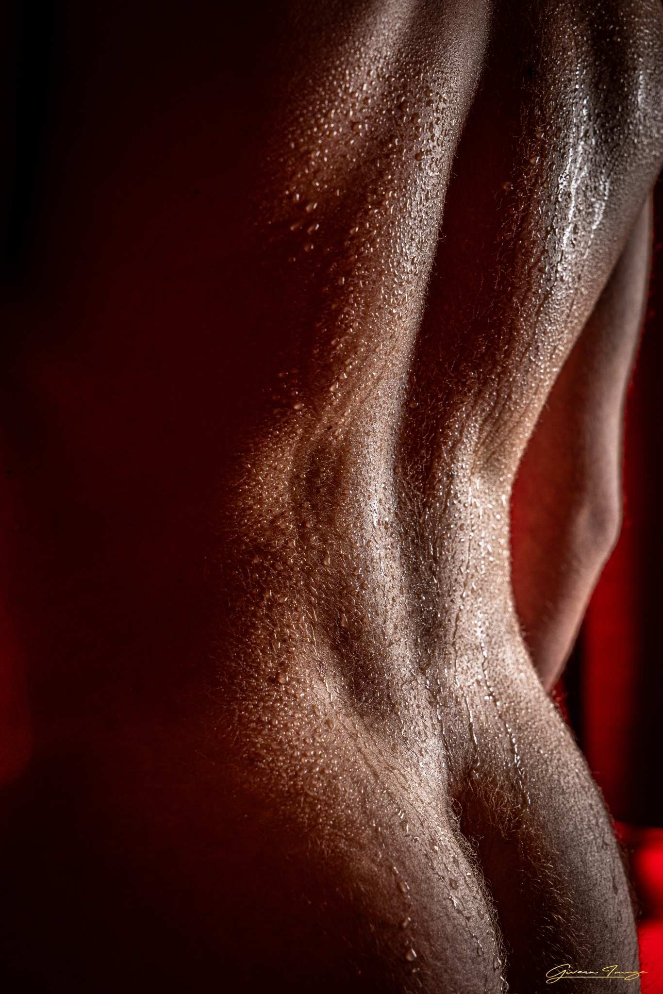 Pierre-Louis Boudoir22 octobre 2024-58